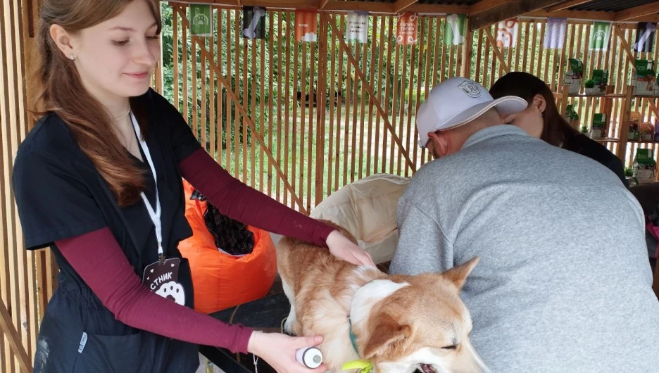 "Лапки-Тапки"