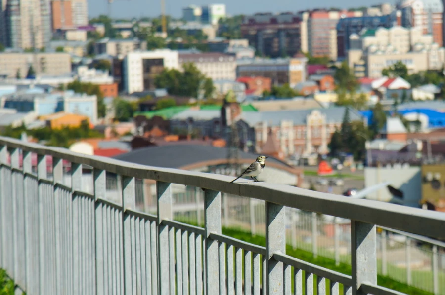 Фоторепортаж с нового колеса обозрения и Нагорного парка 