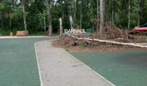 Обезображенный парк «Юбилейный»