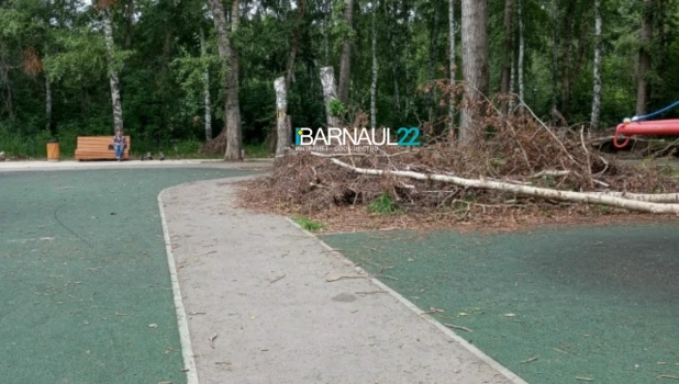 Обезображенный парк «Юбилейный»