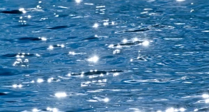 Вода, река, озеро, море. 