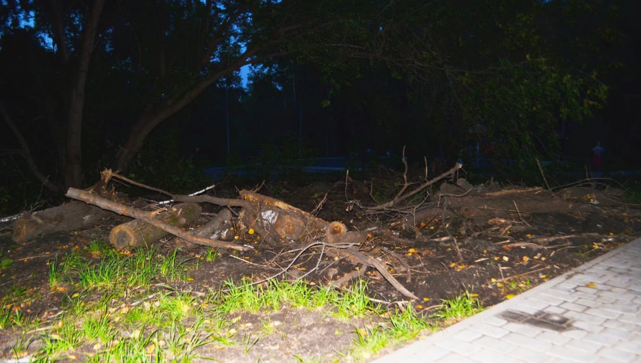 Обезображенный парк «Юбилейный»