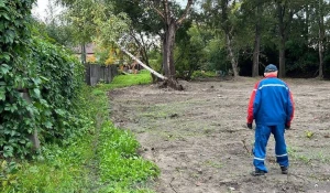 Последствия урагана устраняют в Барнауле