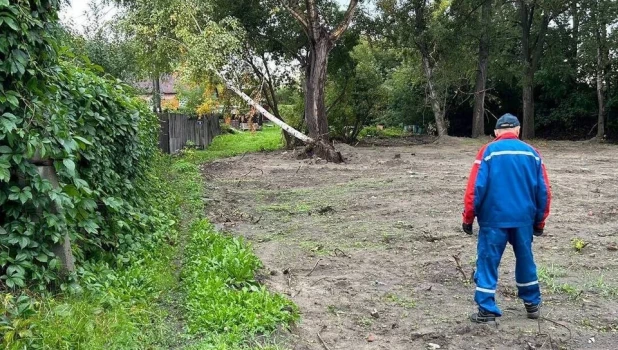 Последствия урагана устраняют в Барнауле