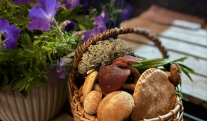 Грибы в Алтайском крае 