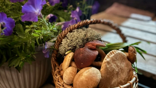 Грибы в Алтайском крае 