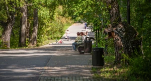 Парк "Юбилейный", 2025 год.