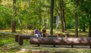 Парк "Юбилейный", 2025 год.