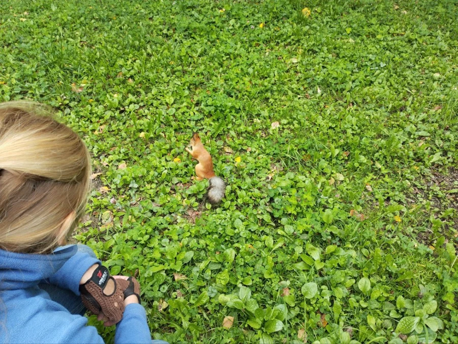 Кормушки и обитатели парка