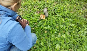 Кормушки и обитатели парка