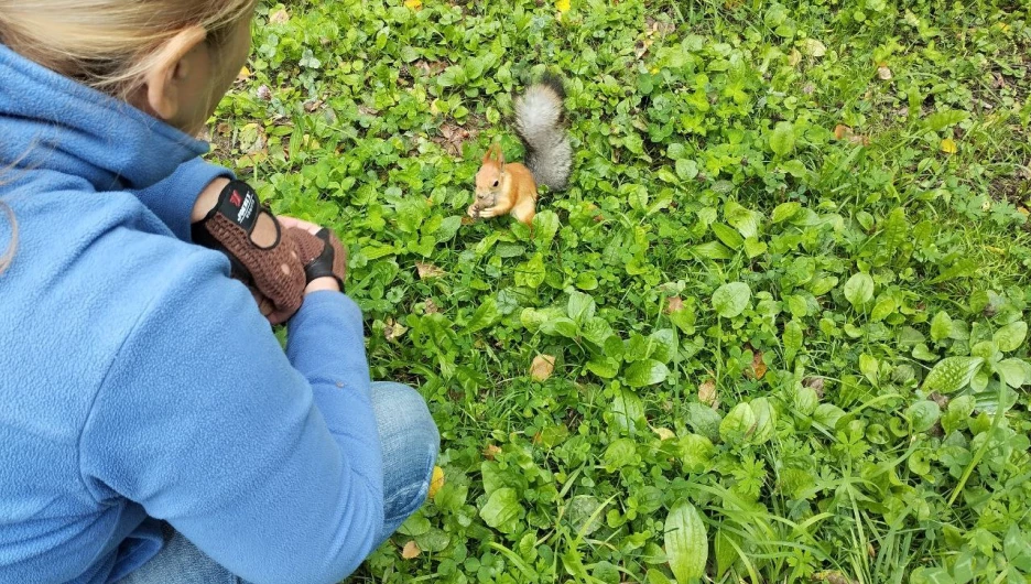 Кормушки и обитатели парка