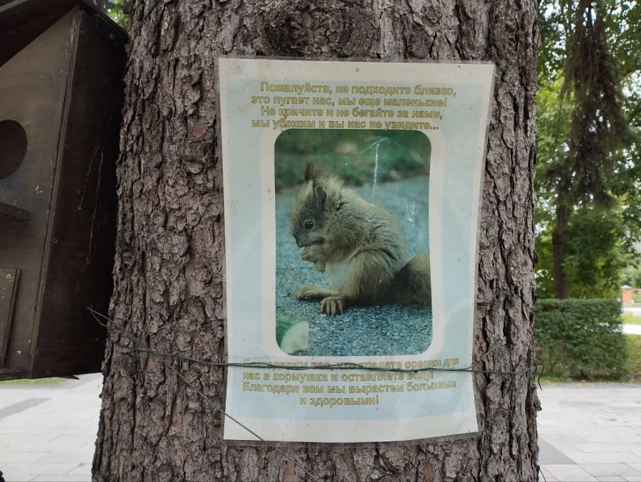 Кормушки и обитатели парка