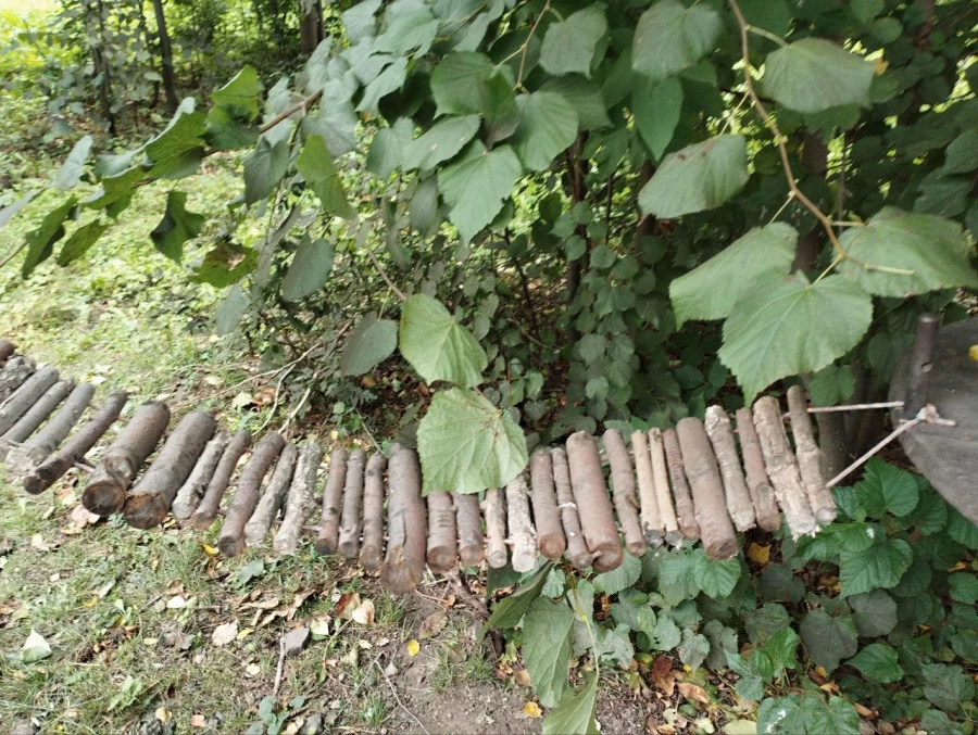 Кормушки и обитатели парка