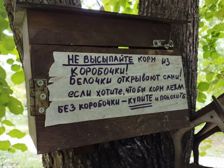 Кормушки и обитатели парка