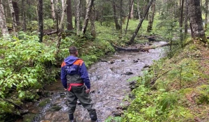 Спасатели и грибники в районе реки Гульки 