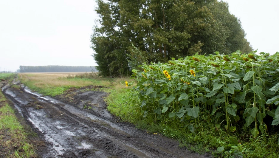 Полевые дороги после дождей