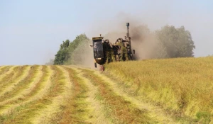 Уборочная 2025