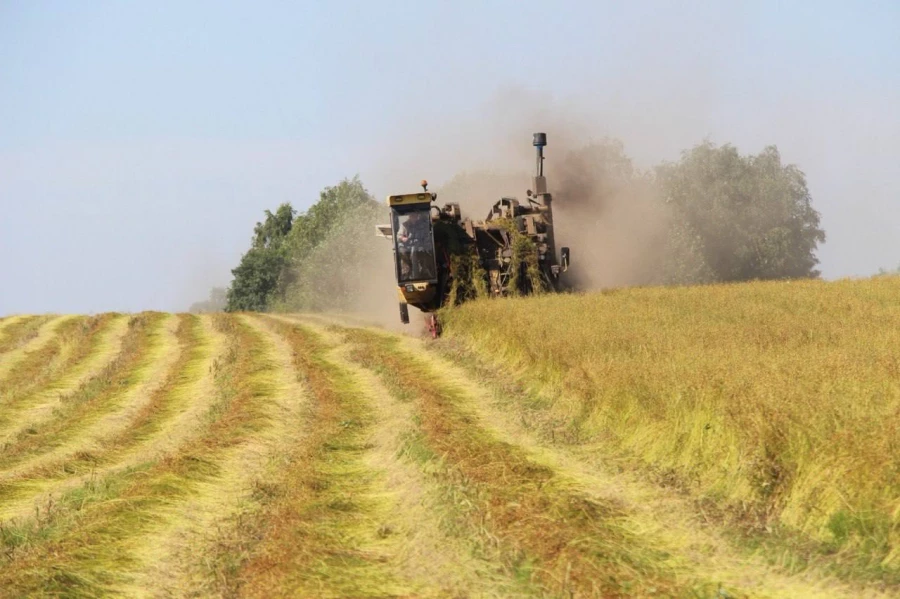 Уборочная 2025