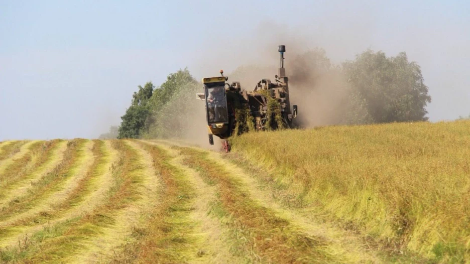 Уборочная 2025