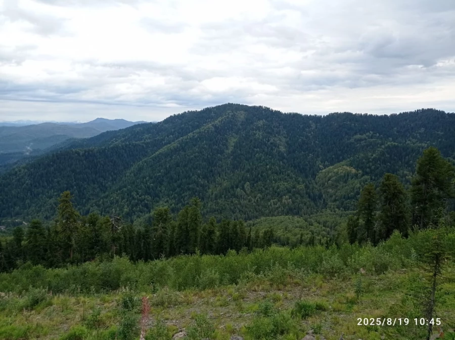 Виды и красоты Телецкого озера. 