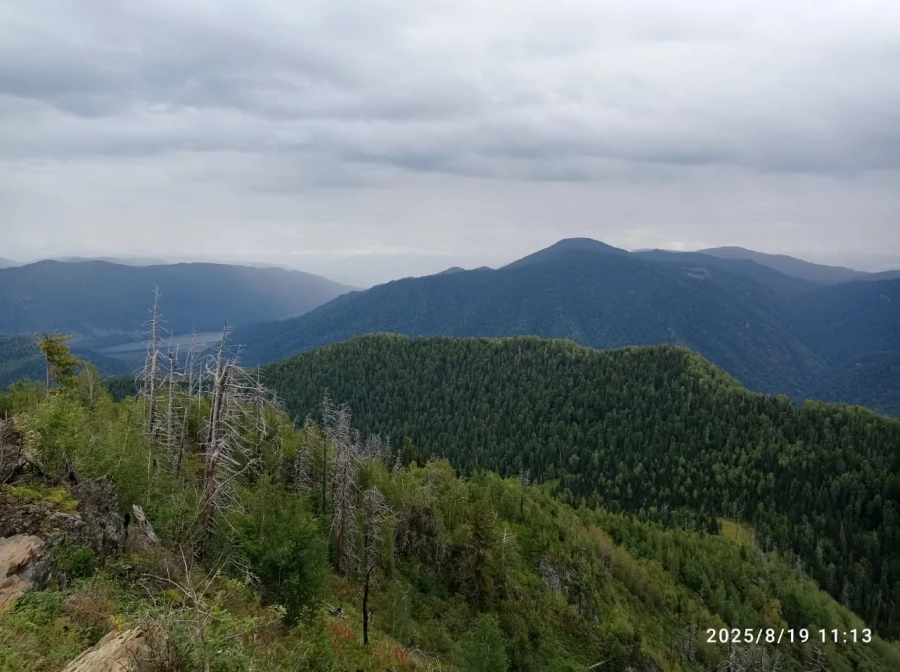 Виды и красоты Телецкого озера. 