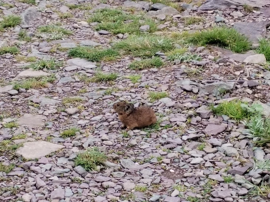 Виды и красоты Телецкого озера. 