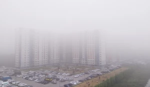 Туман в Барнауле