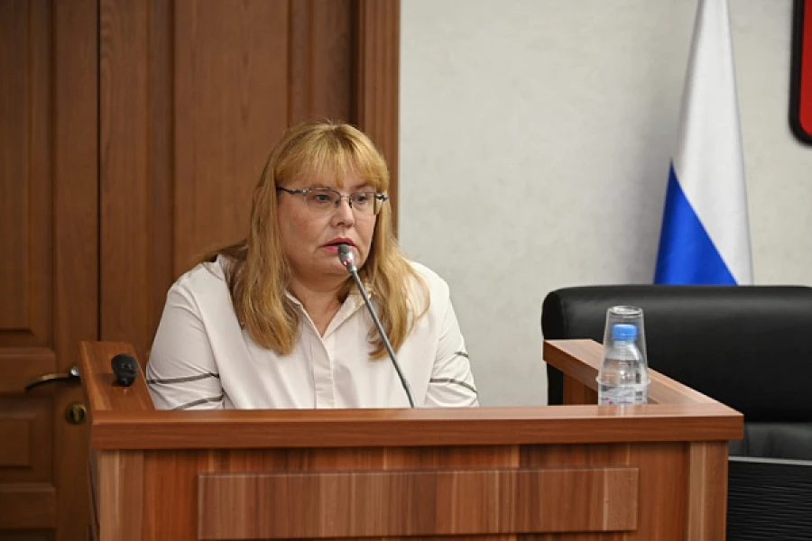 Инна Санникова, заведующий кафедрой экономической безопасности, учета, анализа и аудита МИЭМИС АлтГУ, доктор экономических наук.