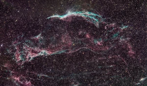 Волшебная «Ведьмина метла».