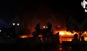 Российский дельфинарий охватил огонь с животными внутри.