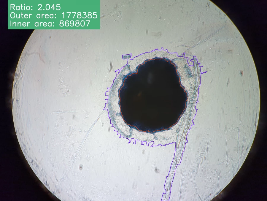 Наука. Снимки эксплантов