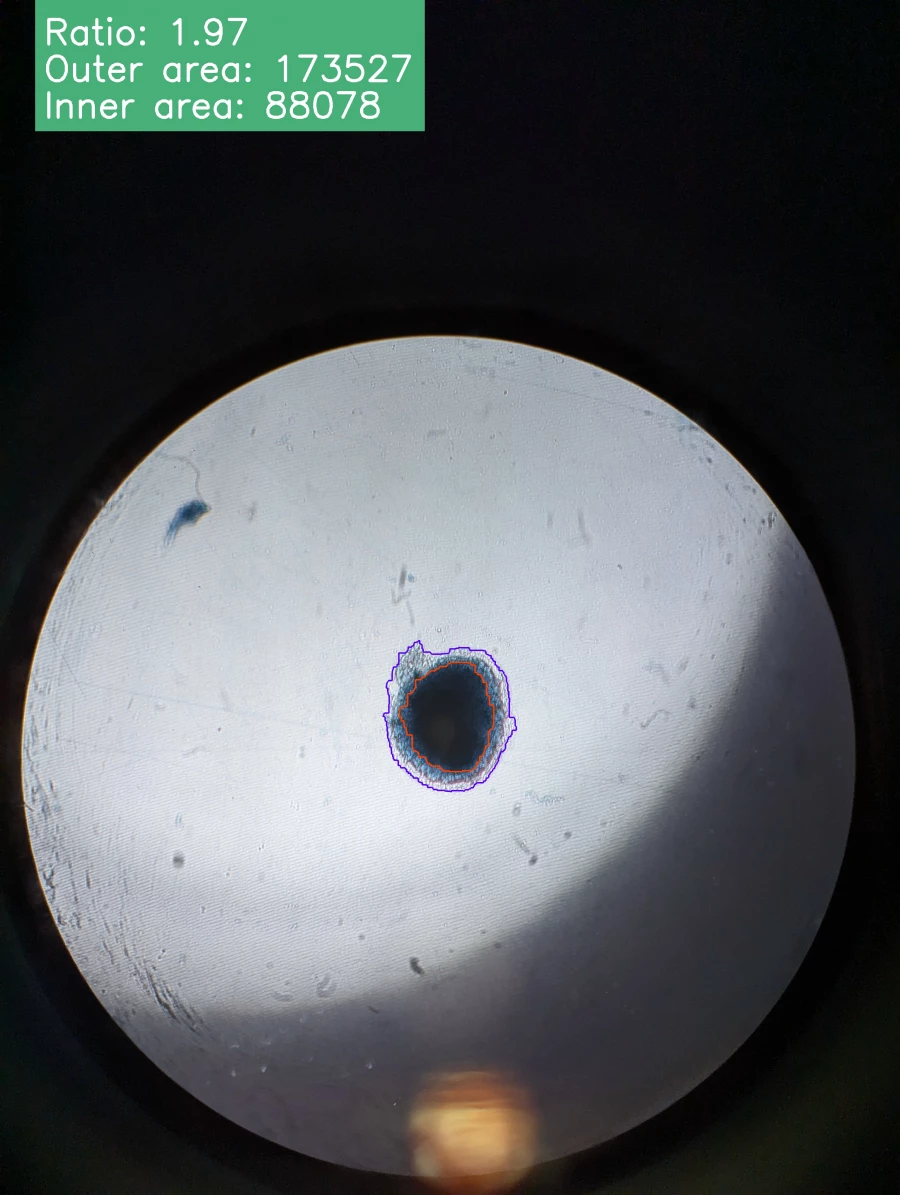 Наука. Снимки эксплантов