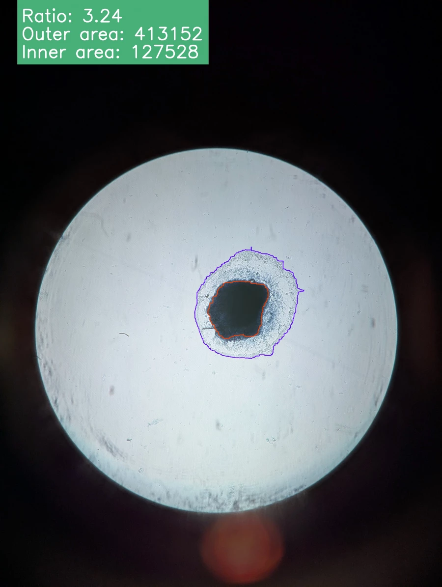 Наука. Снимки эксплантов