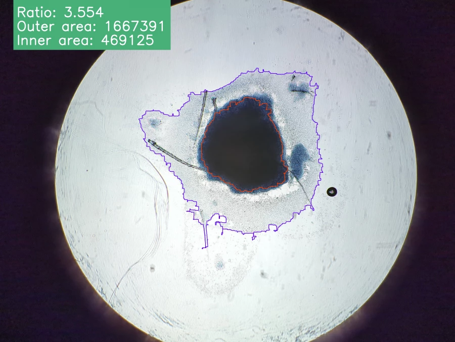 Наука. Снимки эксплантов