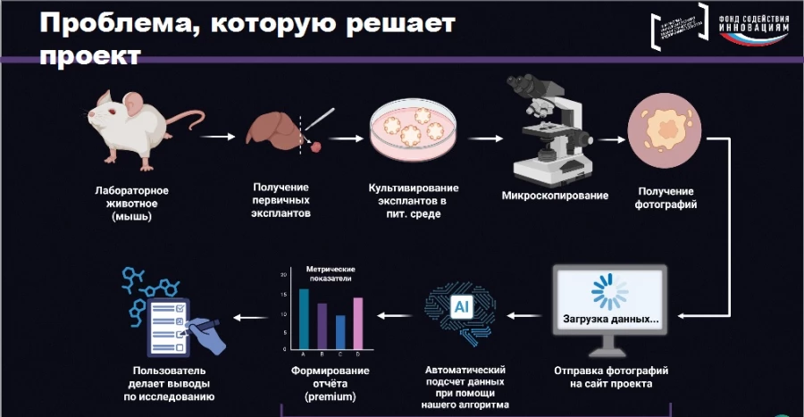 Проект Михаила Макеева. Как будет работать система.