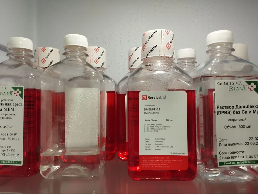 Питательная среда. Наука.