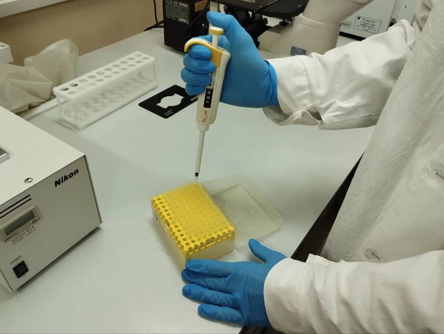 Питательная среда. Наука.