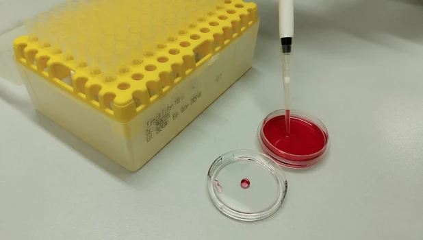 Наука. Пробирки. Планшет для эксплантов.