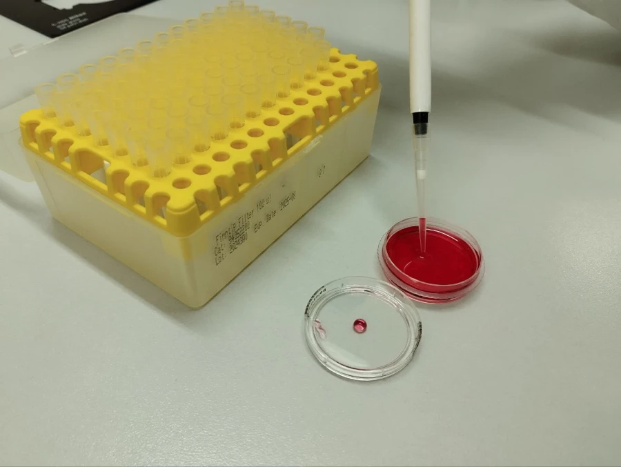 Наука. Пробирки. Планшет для эксплантов.