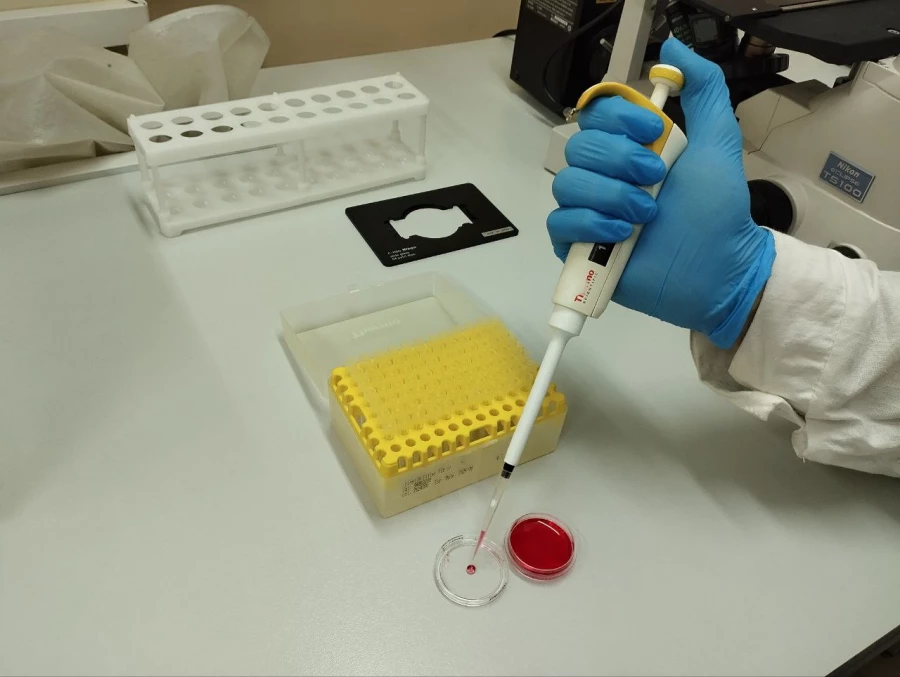 Наука. Пробирки. Планшет для эксплантов.