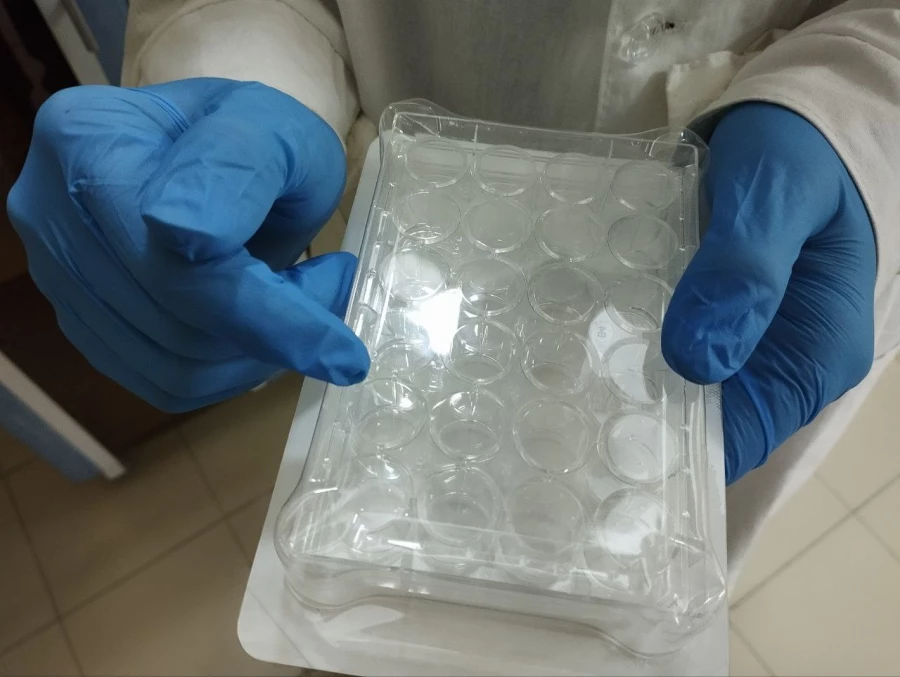 Наука. Пробирки. Планшет для эксплантов.