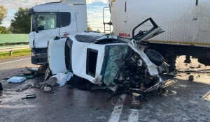 Смертельное ДТП на Павловском тракте.