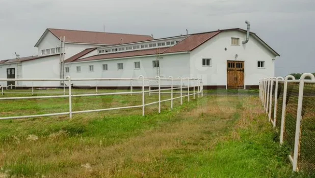 В Атайском крае продают участок на 7 тыс. соток.