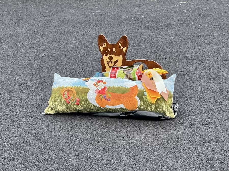 Выставка собак всех пород «Азия Осень 2025»