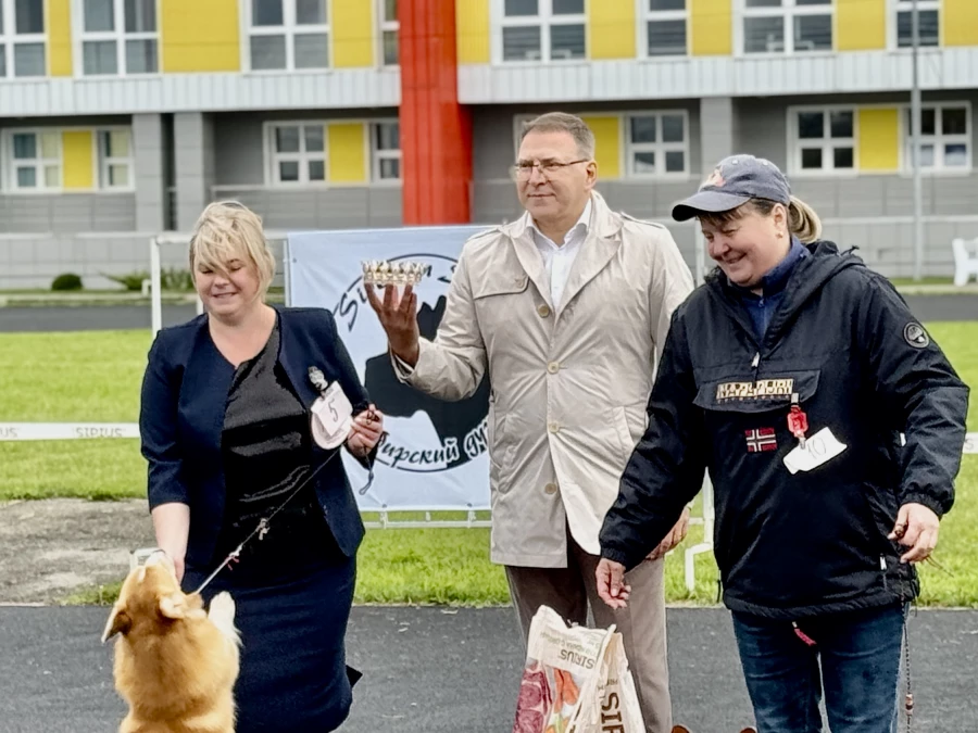 Выставка собак всех пород «Азия Осень 2025»