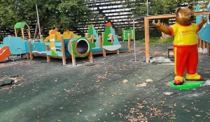 Новая площадка в Изумрудном парке.