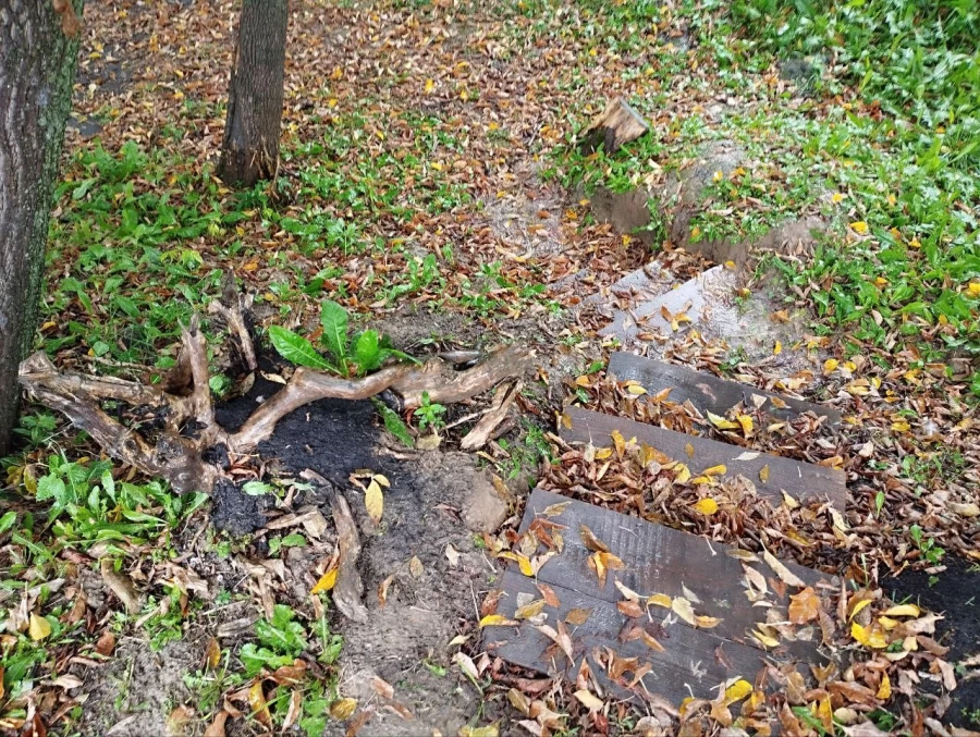 Арт-парк &quot;Каменный остров&quot;