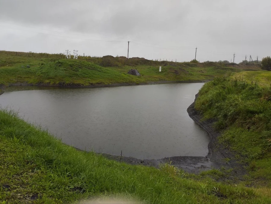 Арт-парк &quot;Каменный остров&quot;