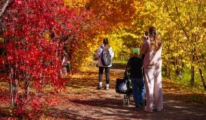 Барнаульский дендрарий, 2025 год.