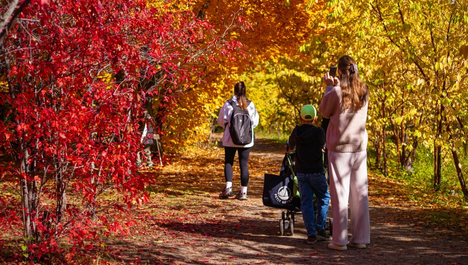 Барнаульский дендрарий, 2025 год.